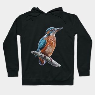 King Fisher Drawing Hoodie